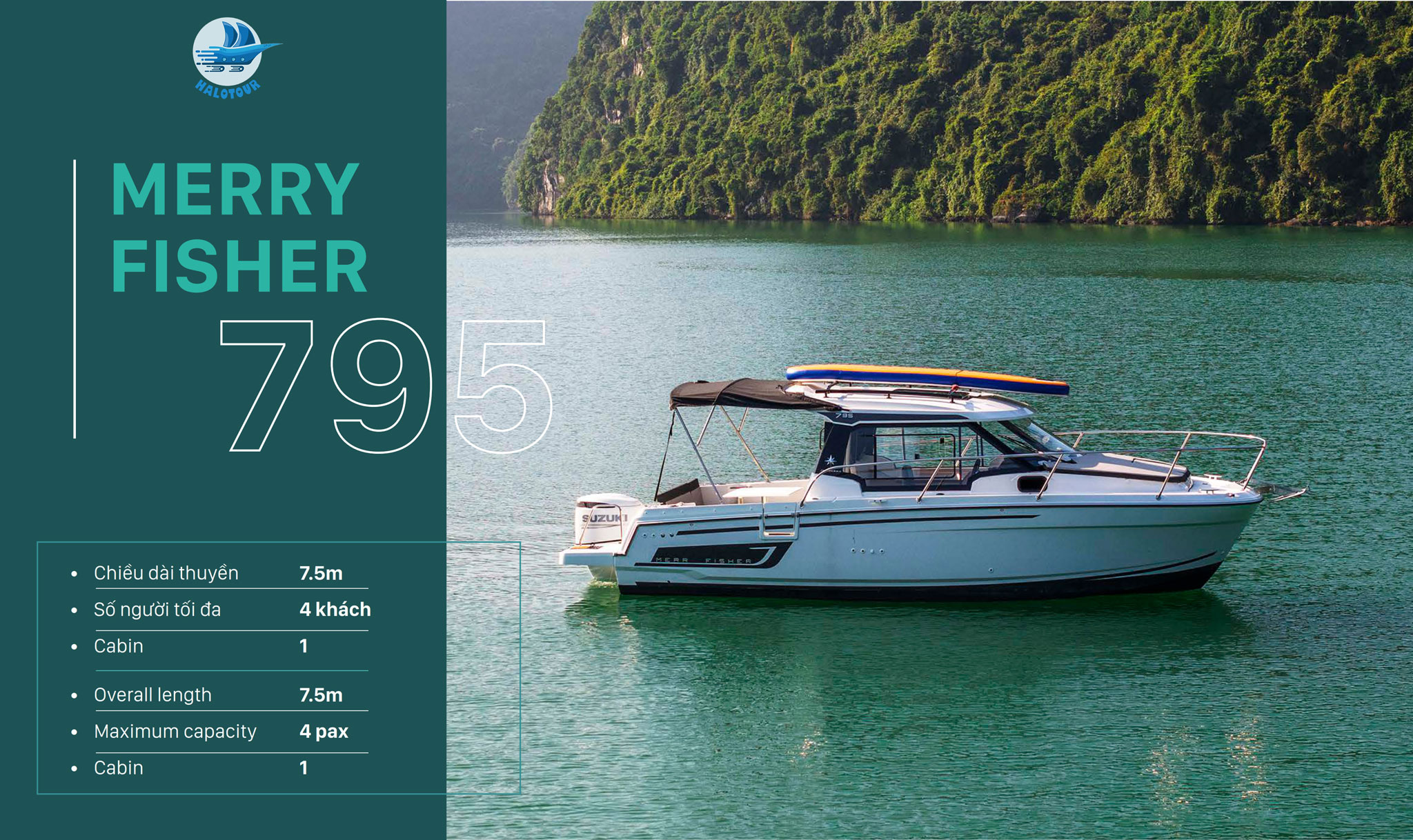 Thiết kế và thông số kỹ thuật MF 795