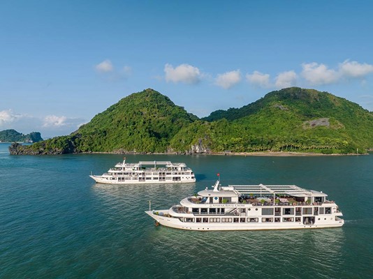 Du thuyền Athena Cruise 5 sao Vịnh Hạ Long