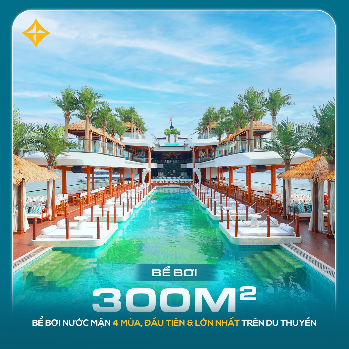 Bể bơi nước mặn 4 mùa có diện tích lên tới ~300m2 của Dolphin cruise là bể bơi trên du thuyền vịnh Hạ Long - Lan Hạ lớn nhất 