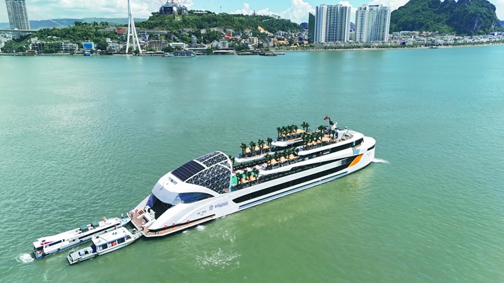 Du thuyền trong ngày 6* Dolphin Halong cruise 