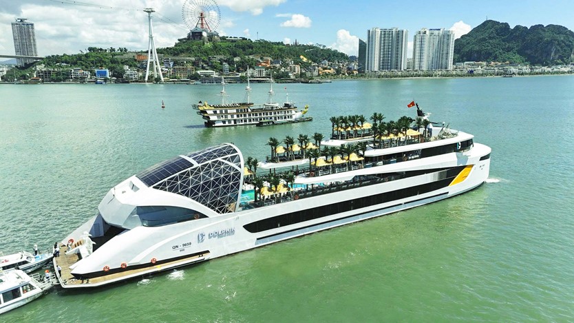 Du thuyền trong ngày 6* Dolphin Halong cruise 