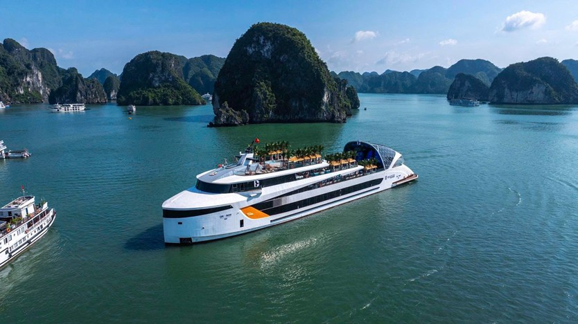 Du thuyền trong ngày 6* Dolphin Halong cruise 