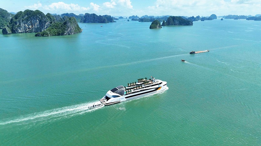 Du thuyền trong ngày 6* Dolphin Halong cruise 