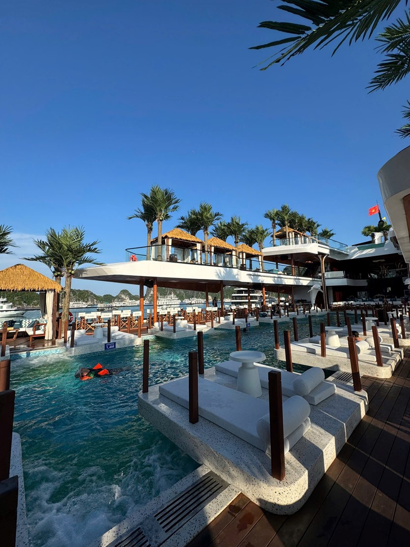 Du thuyền trong ngày 6* Dolphin Halong cruise 