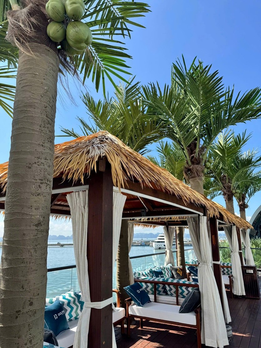 Du thuyền trong ngày 6* Dolphin Halong cruise 