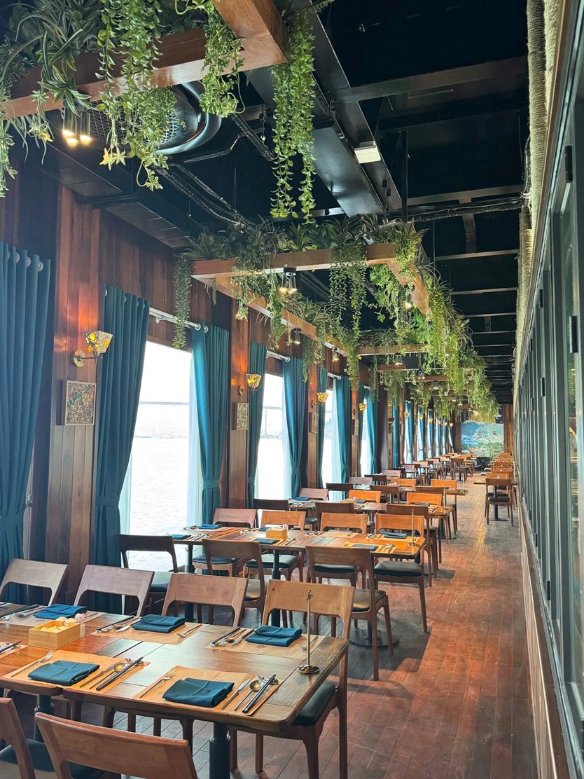 Du thuyền trong ngày 6* Dolphin Halong cruise 