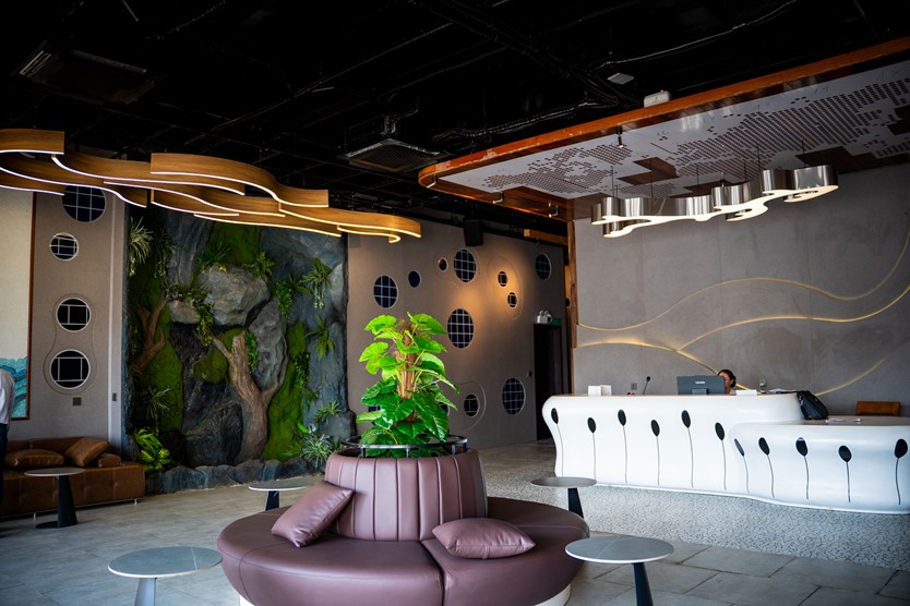 Du thuyền trong ngày 6* Dolphin Halong cruise 