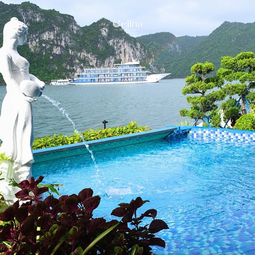 Du thuyền Celina Of The Sea Cruise 6 sao Vịnh Lan Hạ