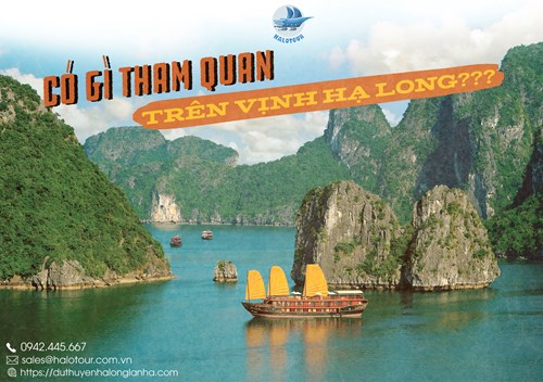 Địa điểm tham quan vịnh Hạ Long không nên bỏ lỡ