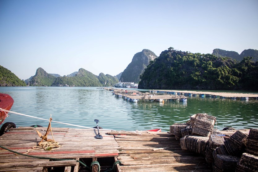 Du thuyền Mon Cheri cruise 5 sao vịnh Lan Hạ