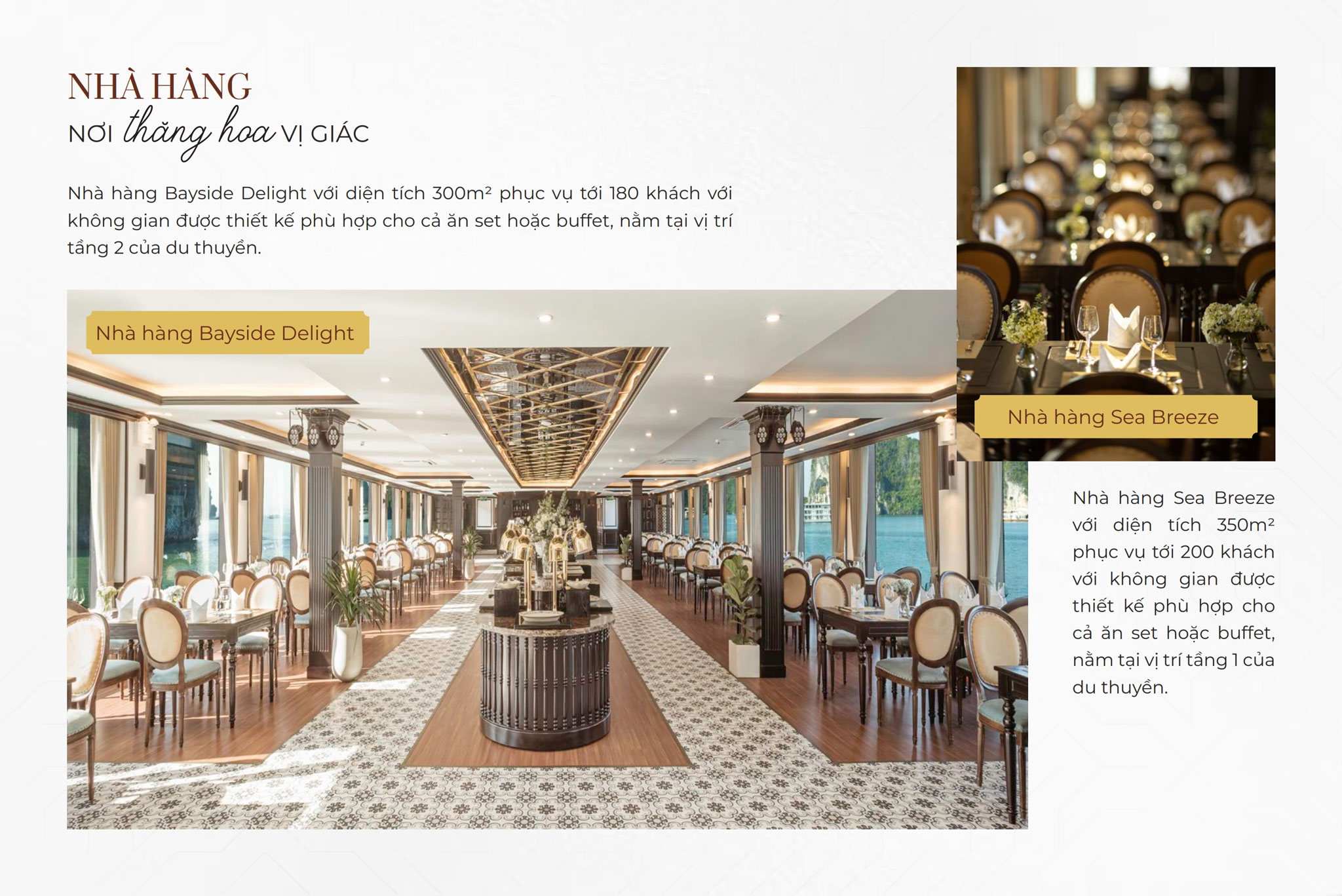 Du thuyền Sea Octopus day cruise thăm Vịnh 7h 8 Nhà hàng chung trên du thuyền nhà hàng Sea Octopus