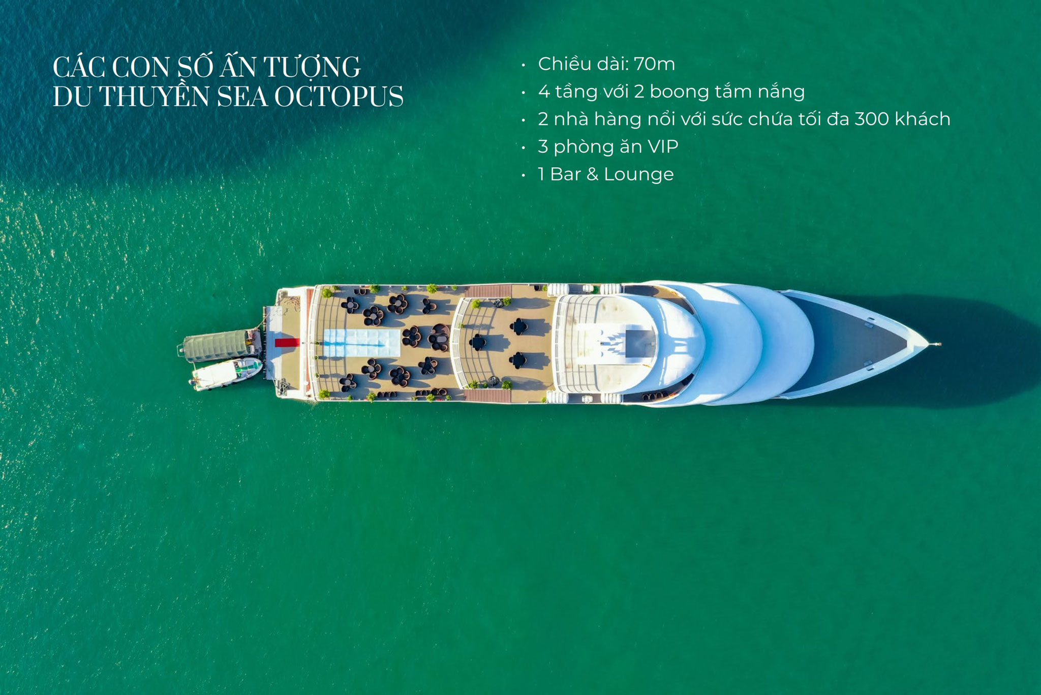 Du thuyền Sea Octopus day cruise thăm Vịnh 7h 3 thông tin chi tiết du thuyền 5 sao Sea Octopus day cruise