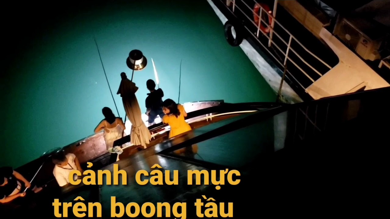 Du thuyền Le Theatre cruise 5 sao Lan Hạ 6 Câu mực đêm trên du thuyền vịnh Lan Hạ