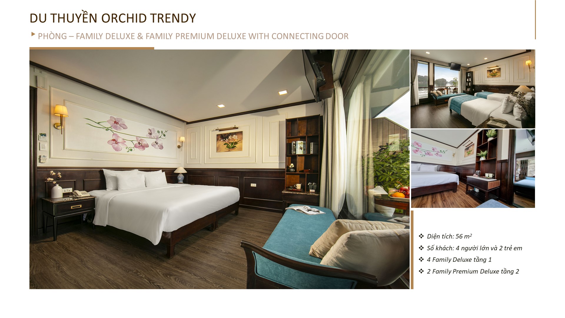 Hạng phòng Family Deluxe & Family Premium Deluxe du thuyền Orchid Trendy