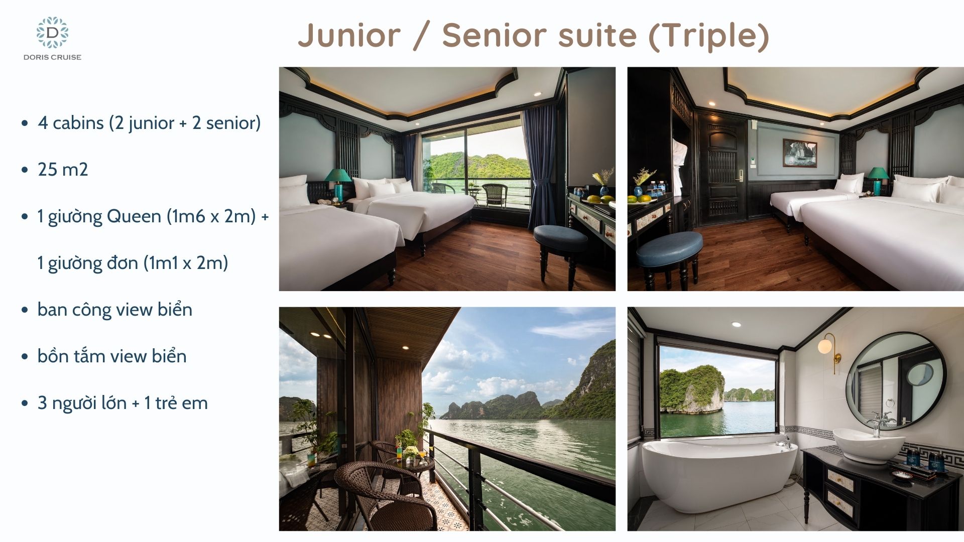 thông tin hạng phòng Junior + Senior Suite TPL du thuyền Doris cruise