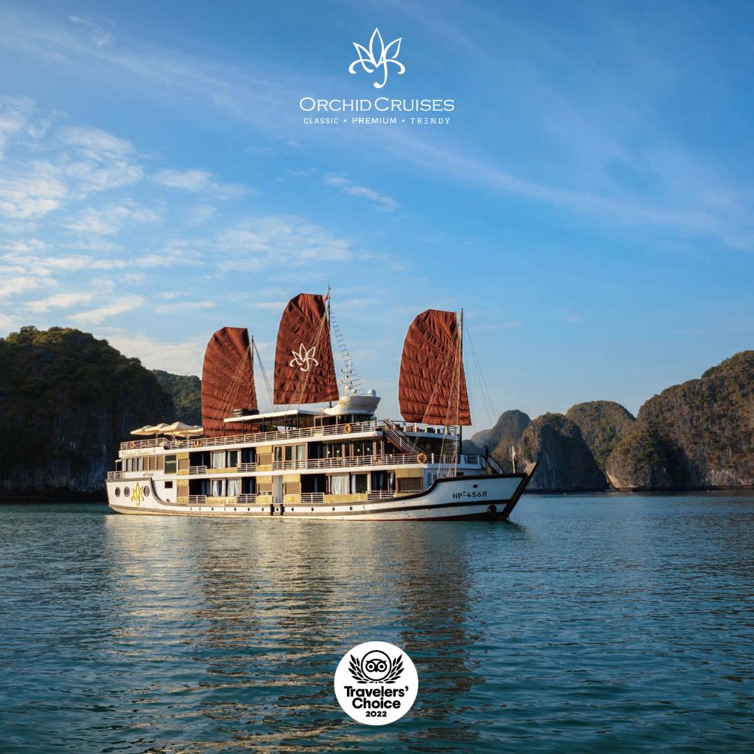 Đội tàu ngủ đêm Orchid cruises vinh dự được nhận giải thưởng của website du lịch lớn nhất tripadvisor