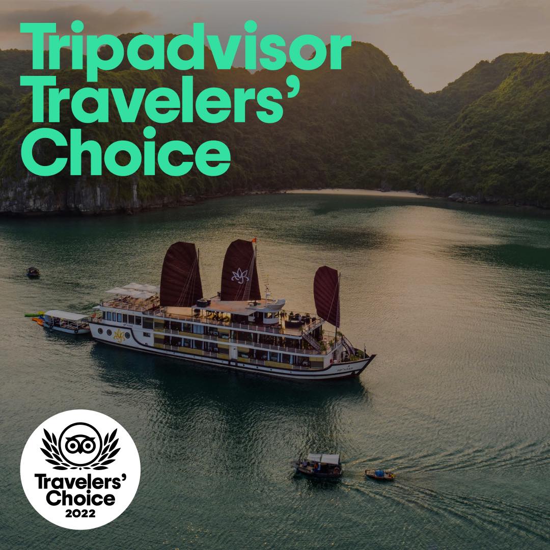 Du thuyền Orchid cruises đạt giải thưởng 