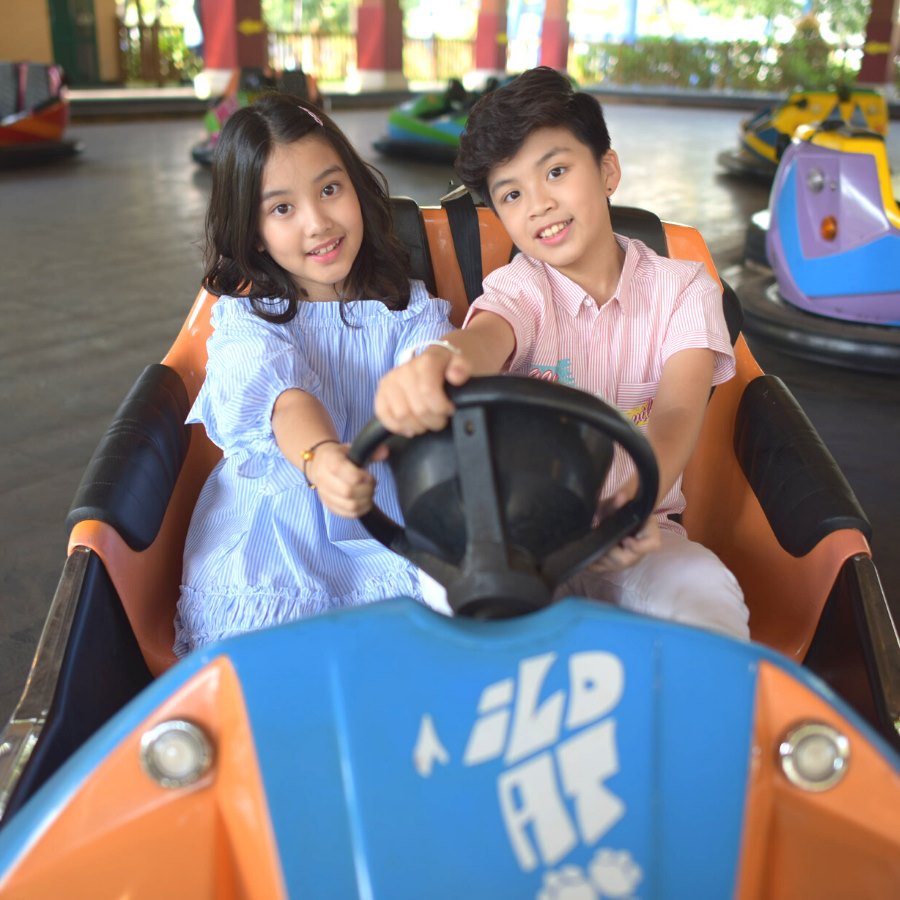 Trò Bò sát đụng độ dành cho trẻ em và gia đình trong công viên Rồng Sunworld Hạ Long Park