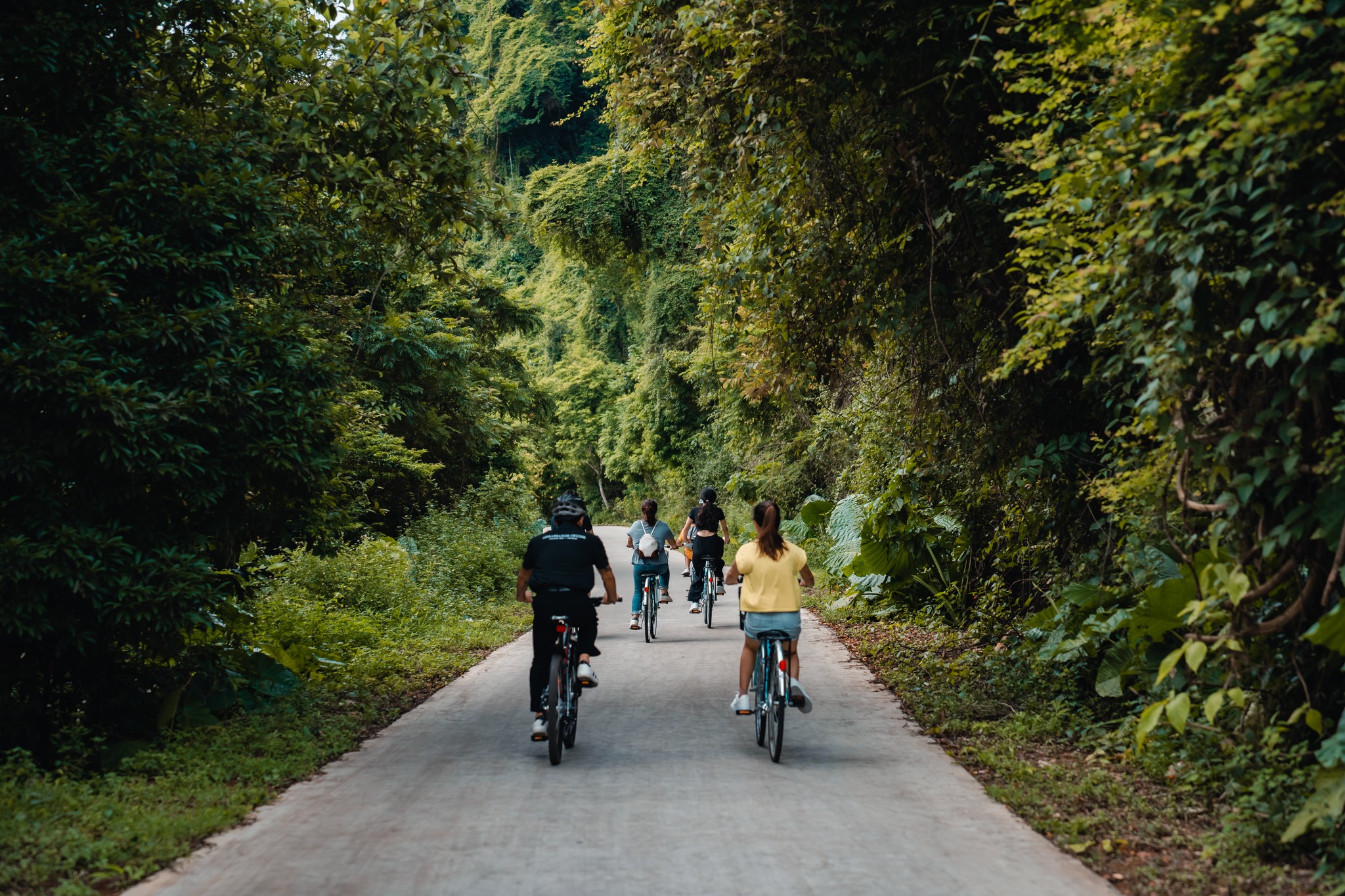 Du khách có thể đạp xe hoặc đi xe điện khám phá làng cổ Việt Hải nằm sâu trong vườn Quốc gia Cát Bà