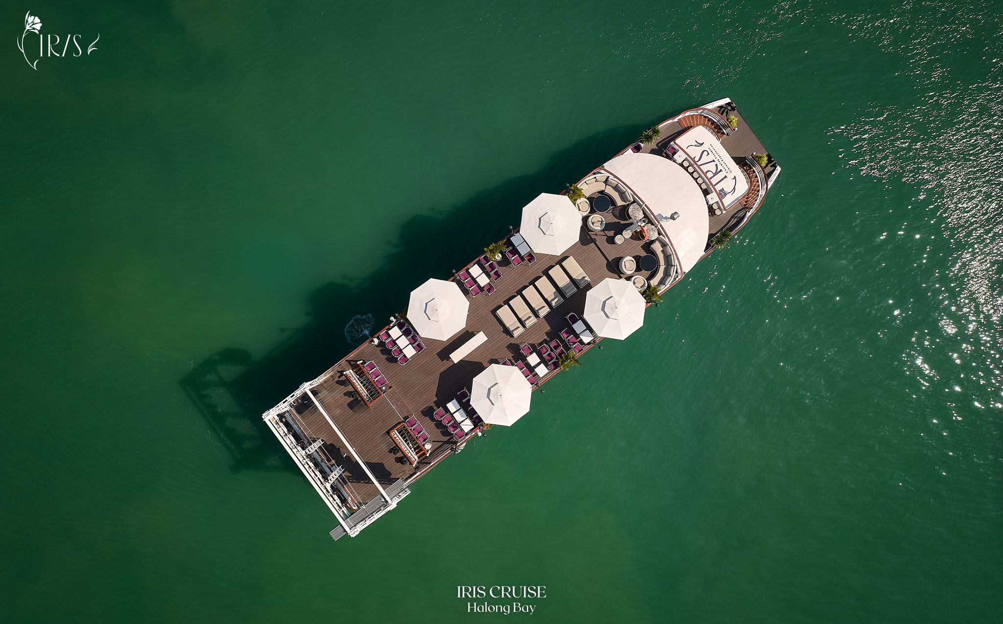 Du thuyền Iris cruise Hạ Long tiêu chuẩn 5* có sức chứa lên tới 99 khách xuất phát từ cảng tàu khách quốc tế Hạ Long (bến Sun Group)