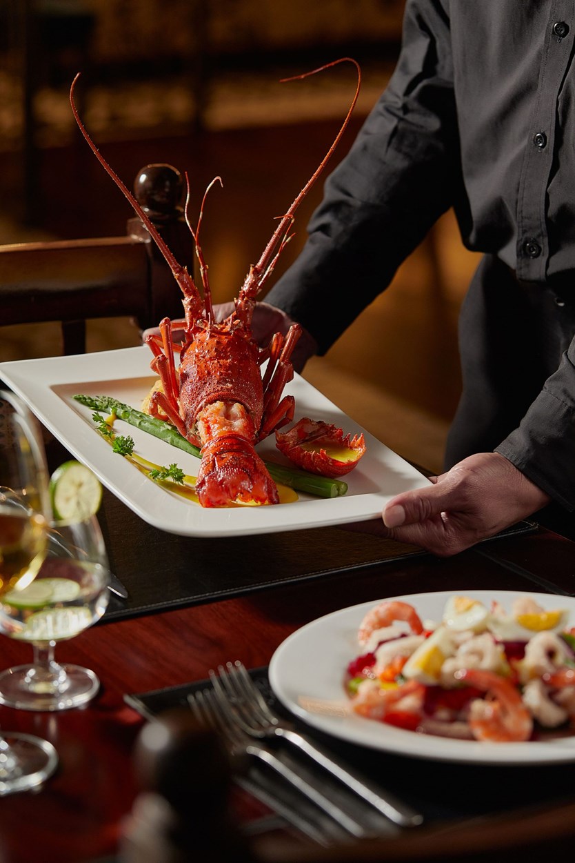 Du thuyền 5 sao Indochine Premium vịnh Hạ Long